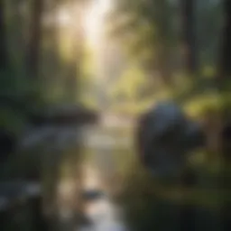 A serene landscape reflecting tranquility