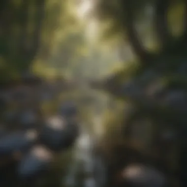 Serene landscape promoting relaxation