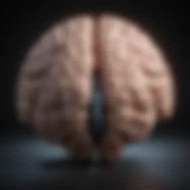 Stress Indicators A close-up of a brain with stress indicators highlighted.