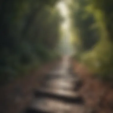 Pathway to Emotional Resolution A serene path leading away from turmoil, symbolizing resolution