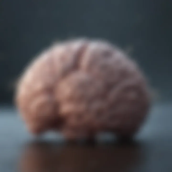 An illustration of the brain highlighting neurochemical reactions to stress.