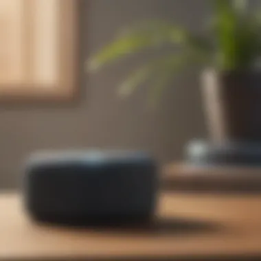 Close-up of an Alexa device in a calming room setup