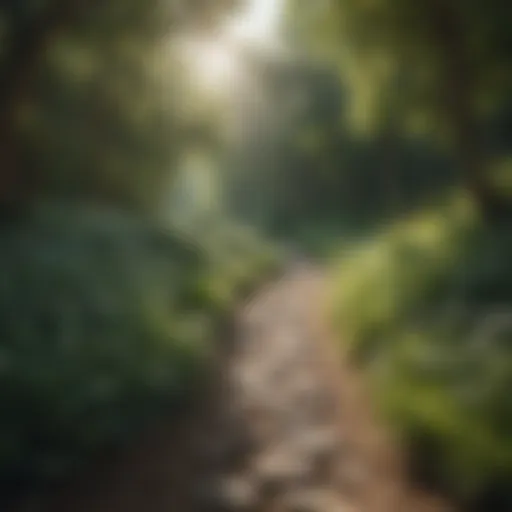 A serene landscape symbolizing tranquility in the search for love
