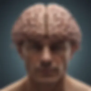 Illustration of Brain Activity Related to Anxiety Illustration of brain activity related to anxiety