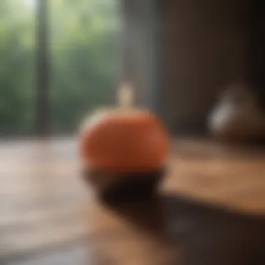 Guided mindfulness practice