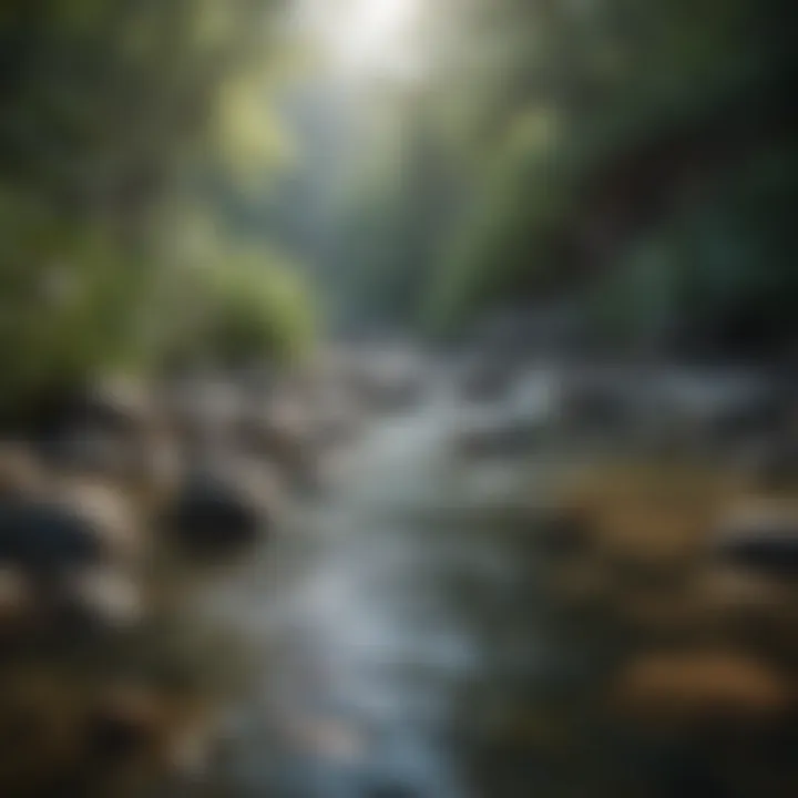 Serene landscape with soft flowing water